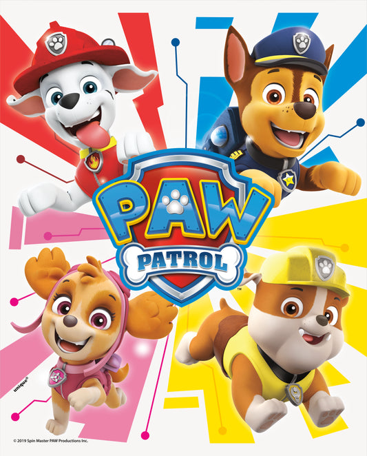 Paw Patrol Loot Bags, 8-pc